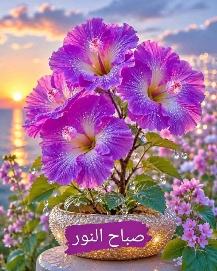 ارسانى ايليا لطفى لمعي